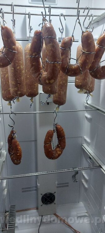 image.thumb.jpeg.c01853138fa773ea57aeb723d270d142.jpeg