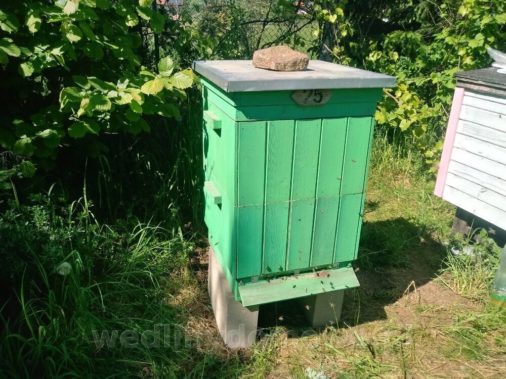 20240512_141827_HDR.thumb.jpg.faf550bb8c6d9230c0fda17cb0069101.jpg