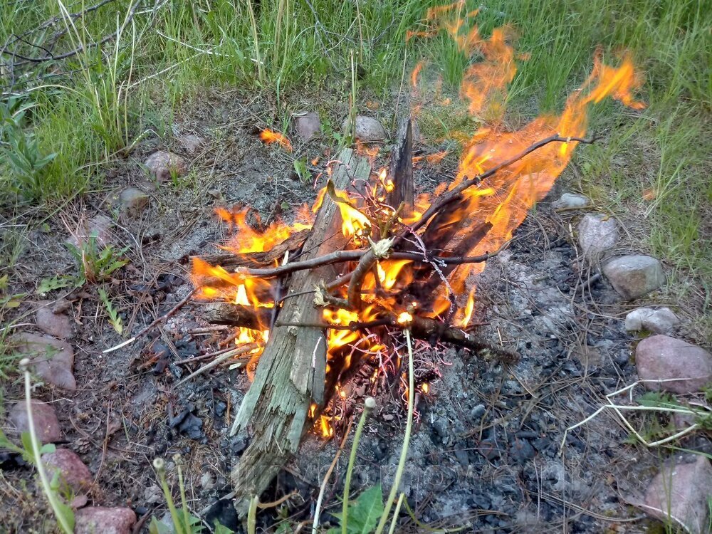 20240521_190235_HDR.thumb.jpg.e0ed470b16eae965d998d867901592a2.jpg