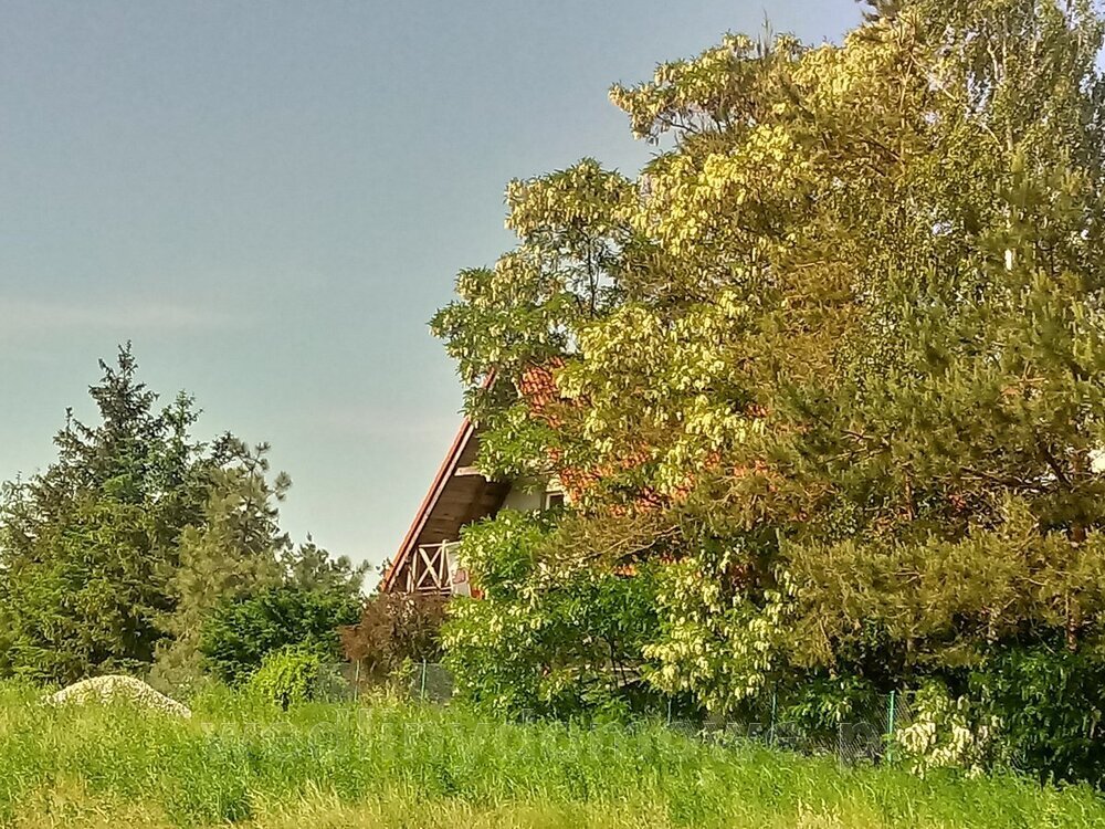 20240524_152028_HDR.thumb.jpg.f8dff44ab6b511371b20dac31da03231.jpg