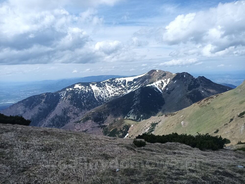 IMG_20240503_111135_358.jpg