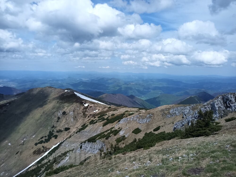 IMG_20240503_113044_486.jpg
