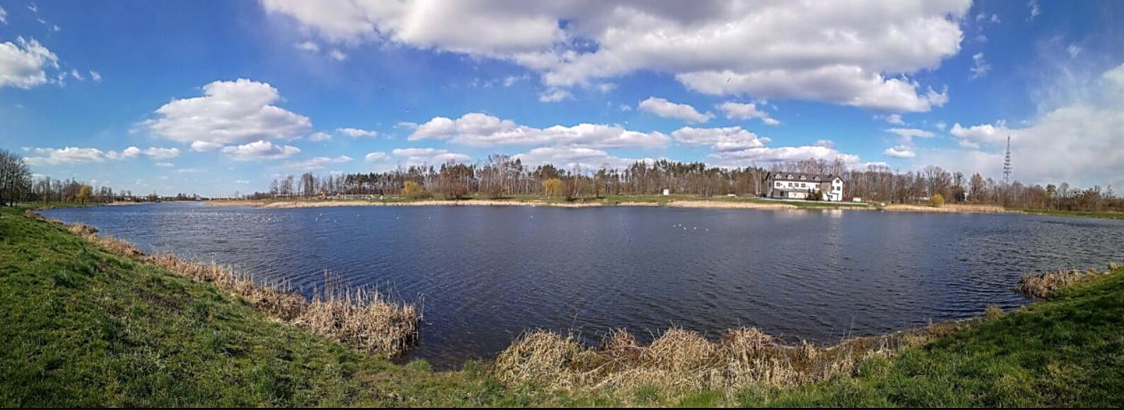 XII Wielkopolski Grzybozlot Wędzarniczej Braci we Wrześni