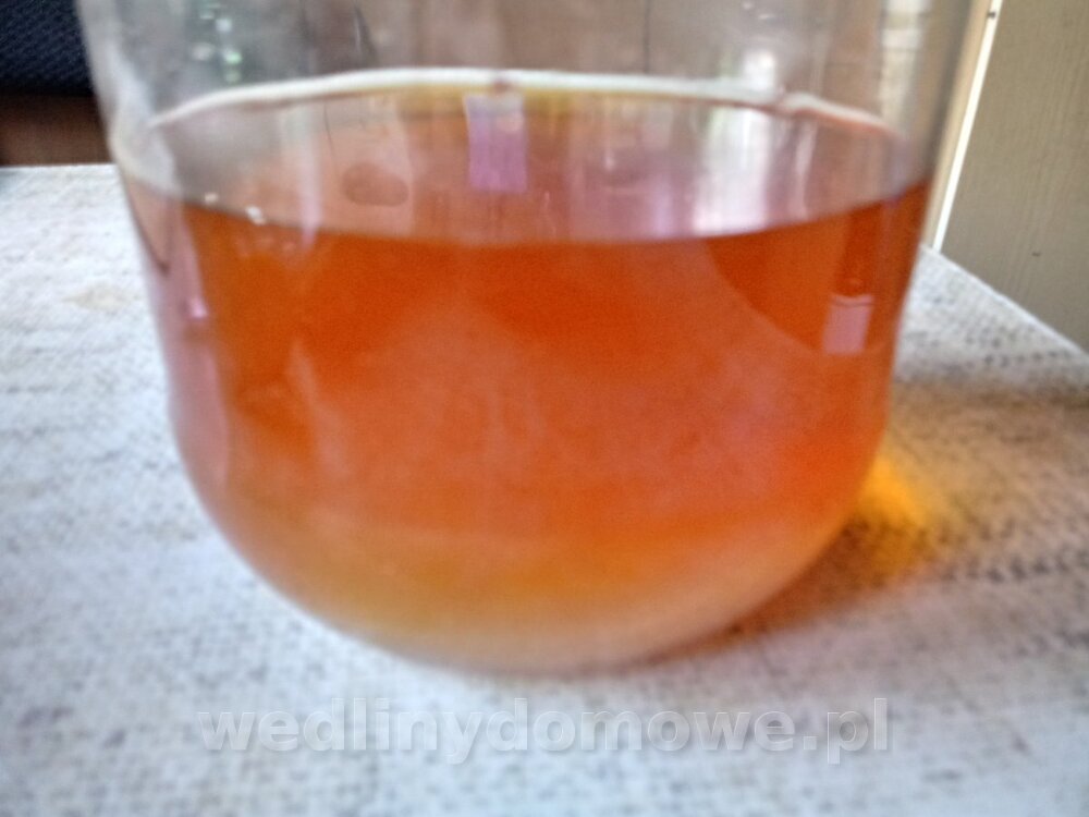 20240822_115543_HDR.thumb.jpg.d12974b023a486ad3994cb9f96a132e4.jpg