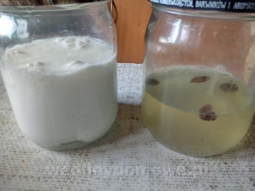 20240825_140439_HDR.thumb.jpg.2e5a508ad98d029facedbeba8a136f0e.jpg