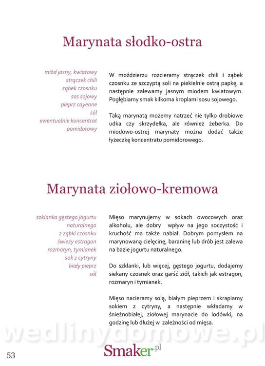 50-najlepszych przepisów na grilla_53.jpg