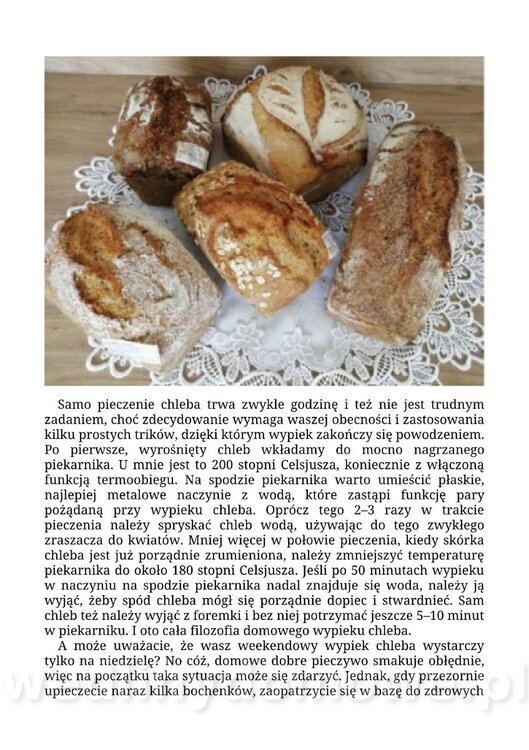 Beata Anna Dąbrowska - Kiszenie i fermentacja z dr Ewą Dąbrowską®. Domowe sposoby_024.jpg
