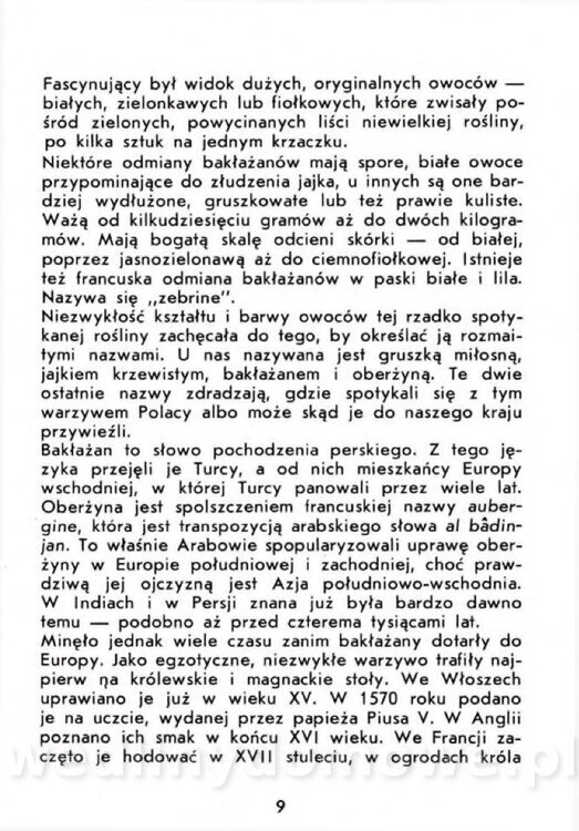 Czerni A. - Warzywa rzadko spotykane_007.jpg