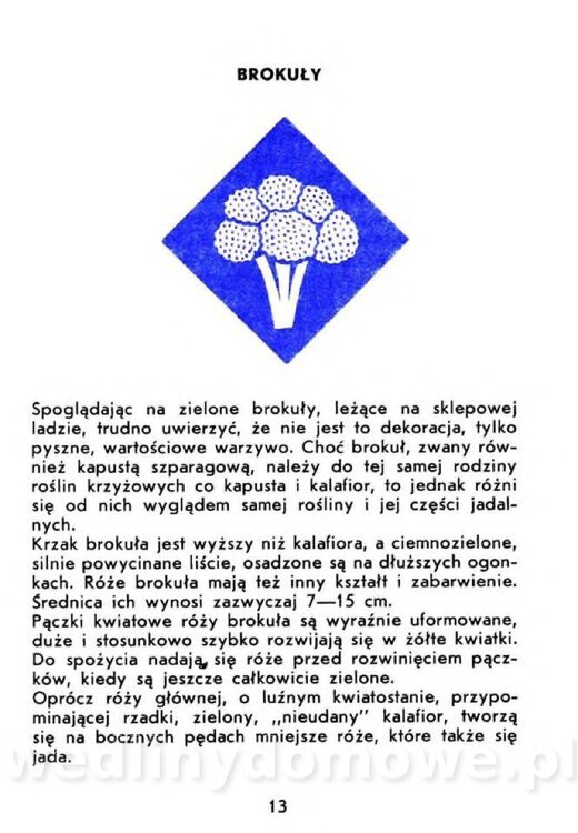 Czerni A. - Warzywa rzadko spotykane_011.jpg