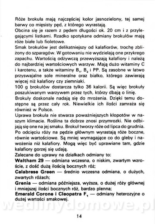 Czerni A. - Warzywa rzadko spotykane_012.jpg