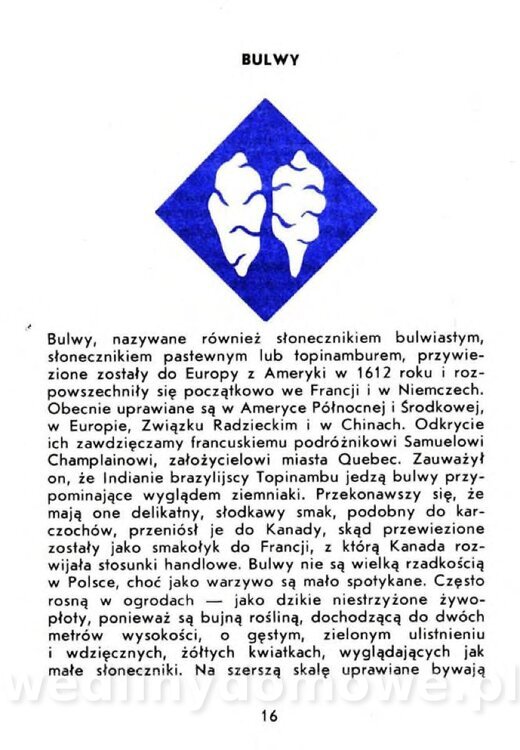 Czerni A. - Warzywa rzadko spotykane_014.jpg