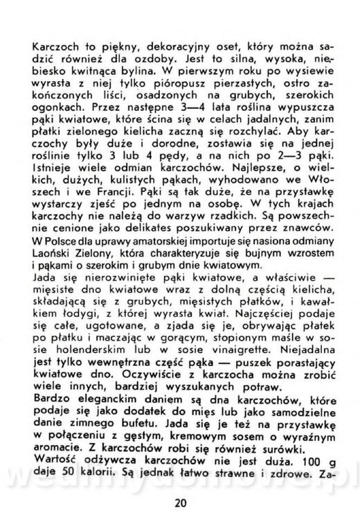 Czerni A. - Warzywa rzadko spotykane_018.jpg