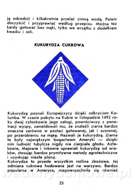 Czerni A. - Warzywa rzadko spotykane_021.jpg