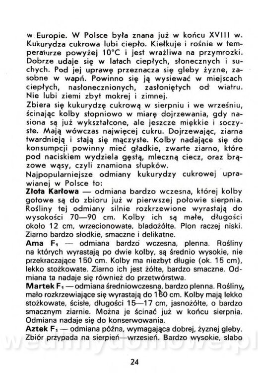 Czerni A. - Warzywa rzadko spotykane_022.jpg