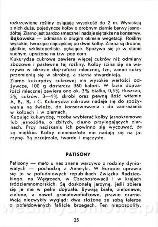 Czerni A. - Warzywa rzadko spotykane_023.jpg