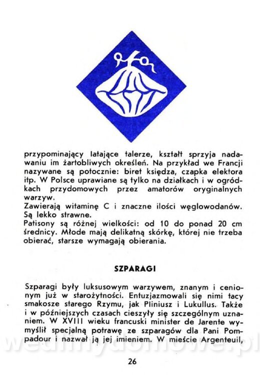 Czerni A. - Warzywa rzadko spotykane_024.jpg