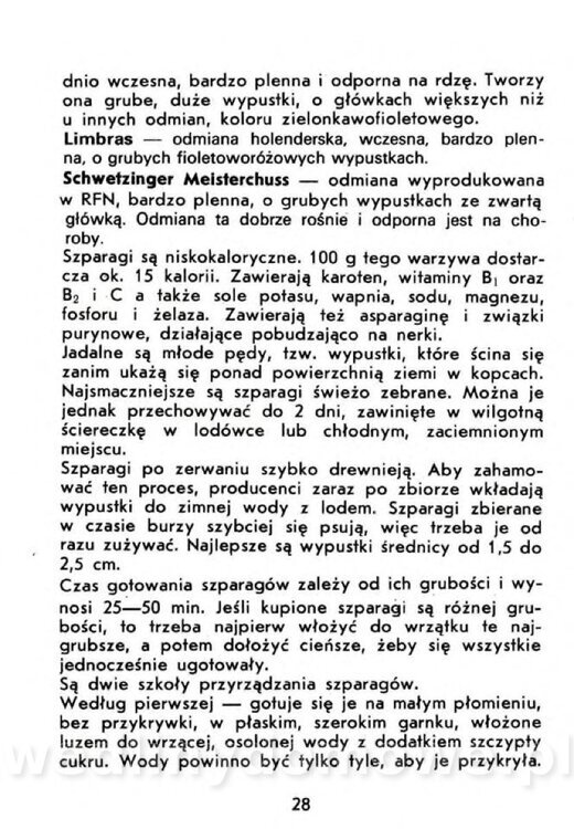 Czerni A. - Warzywa rzadko spotykane_026.jpg