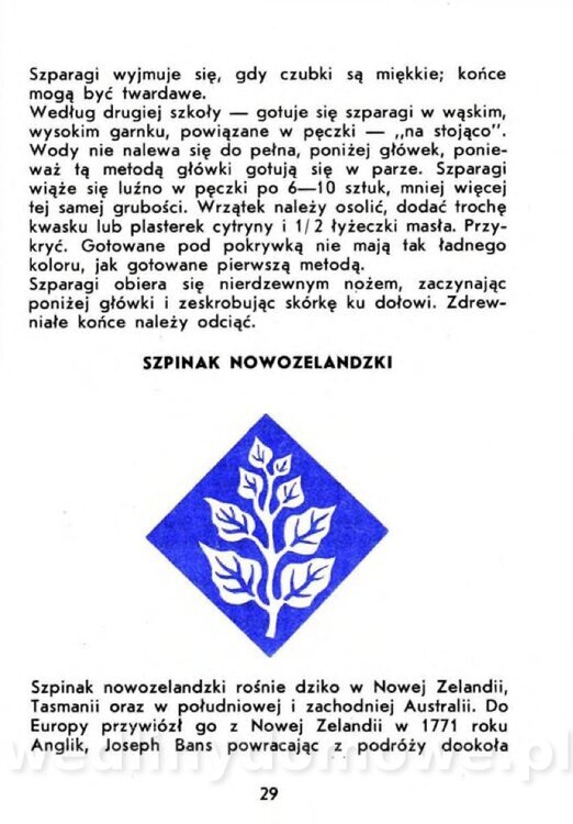 Czerni A. - Warzywa rzadko spotykane_027.jpg