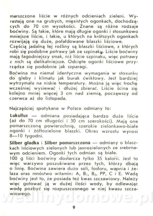 Czerni Anna - Warzywa Lisciowe_007.jpg
