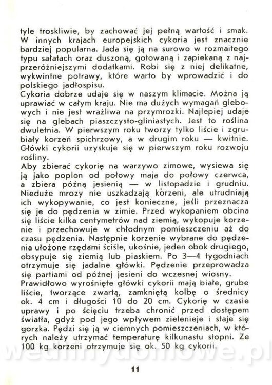 Czerni Anna - Warzywa Lisciowe_009.jpg