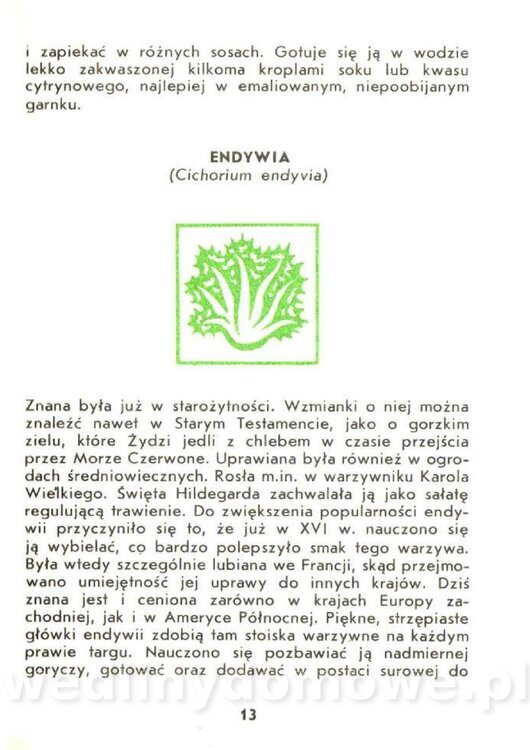 Czerni Anna - Warzywa Lisciowe_011.jpg