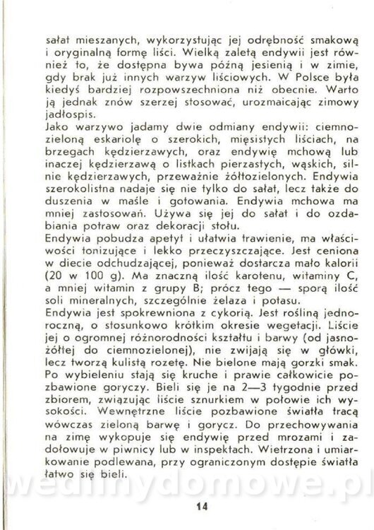 Czerni Anna - Warzywa Lisciowe_012.jpg