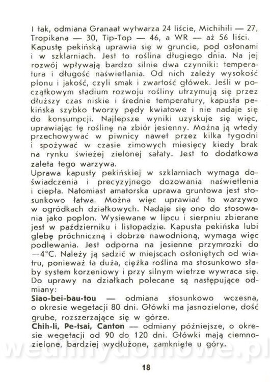 Czerni Anna - Warzywa Lisciowe_016.jpg