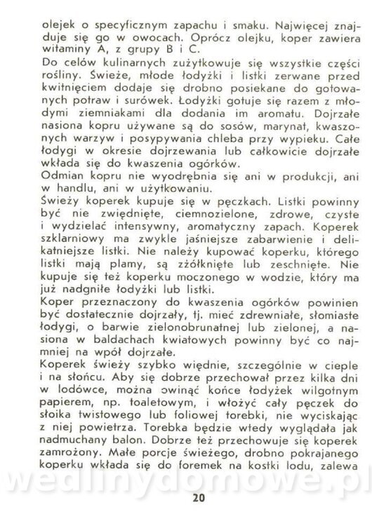 Czerni Anna - Warzywa Lisciowe_018.jpg