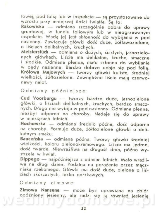 Czerni Anna - Warzywa Lisciowe_030.jpg