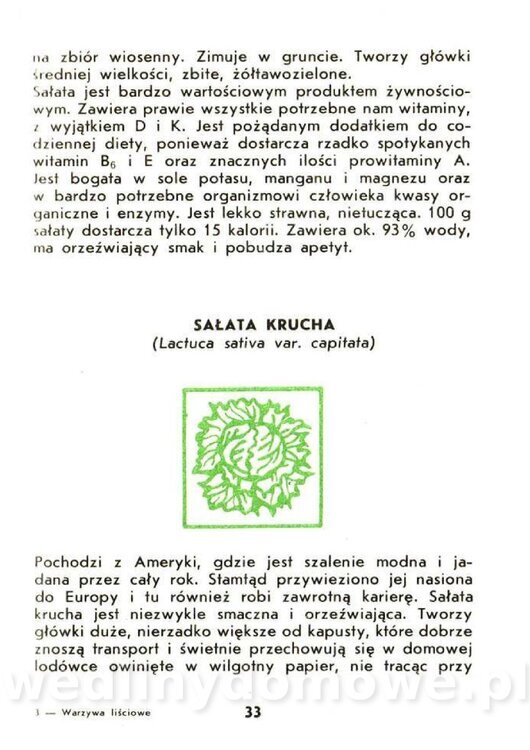Czerni Anna - Warzywa Lisciowe_031.jpg