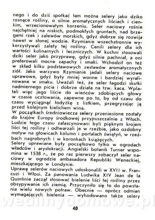 Czerni Anna - Warzywa Lisciowe_038.jpg
