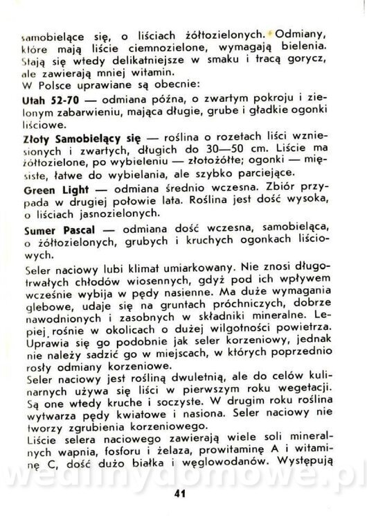 Czerni Anna - Warzywa Lisciowe_039.jpg
