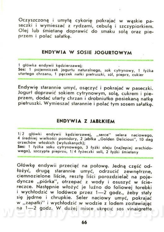 Czerni Anna - Warzywa Lisciowe_064.jpg