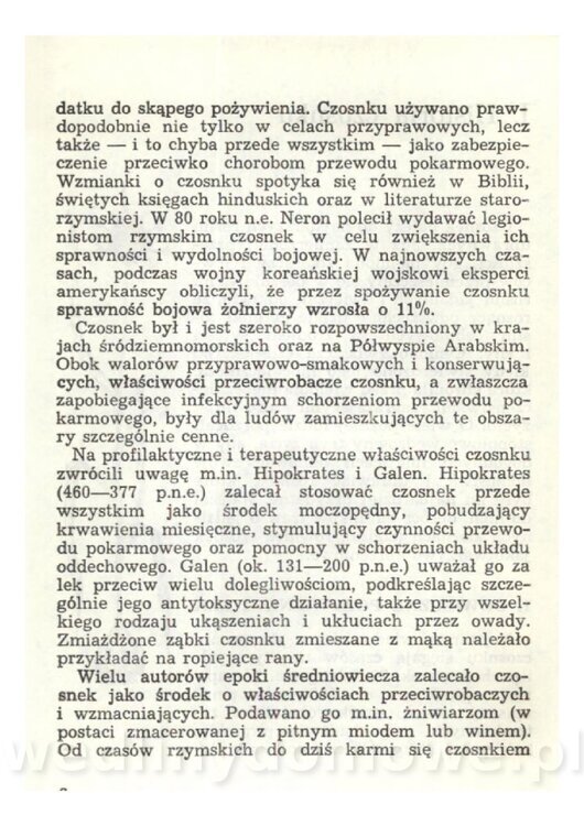 Czosnek Znany I Nieznany_08.jpg