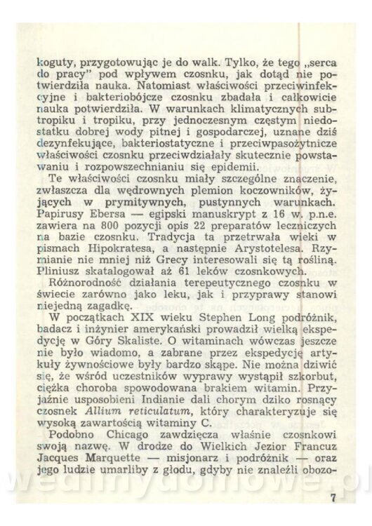 Czosnek Znany I Nieznany_09.jpg