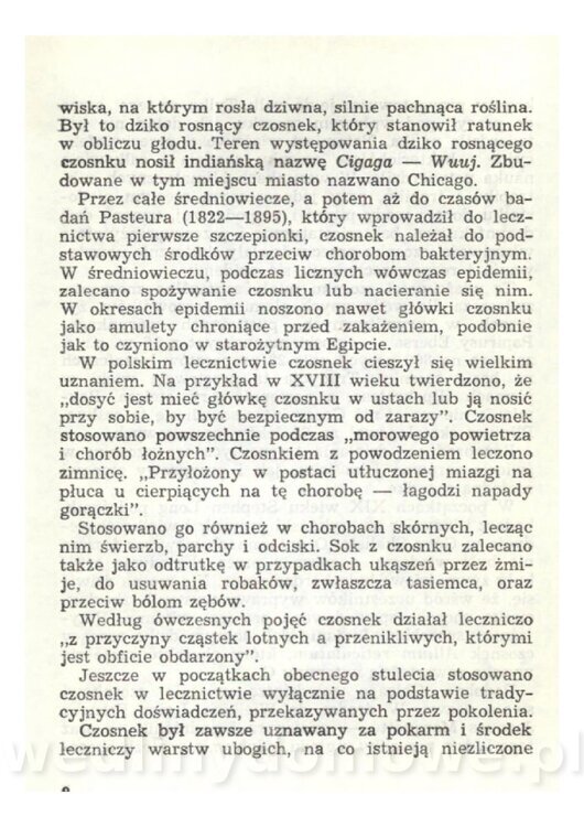 Czosnek Znany I Nieznany_10.jpg