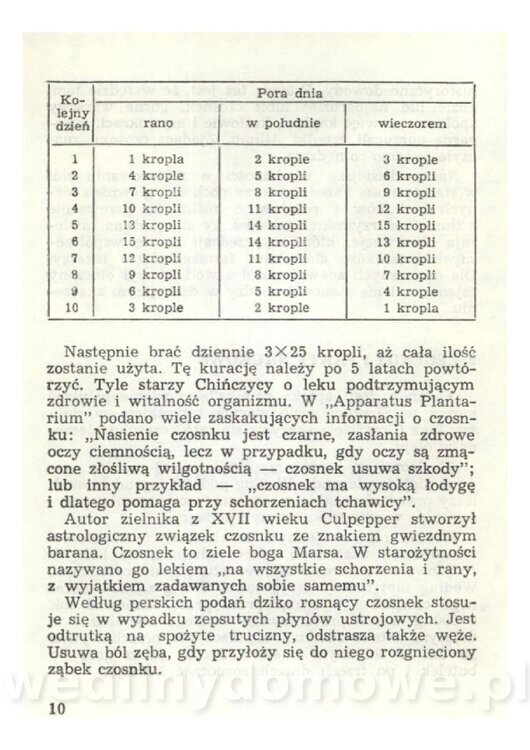 Czosnek Znany I Nieznany_12.jpg