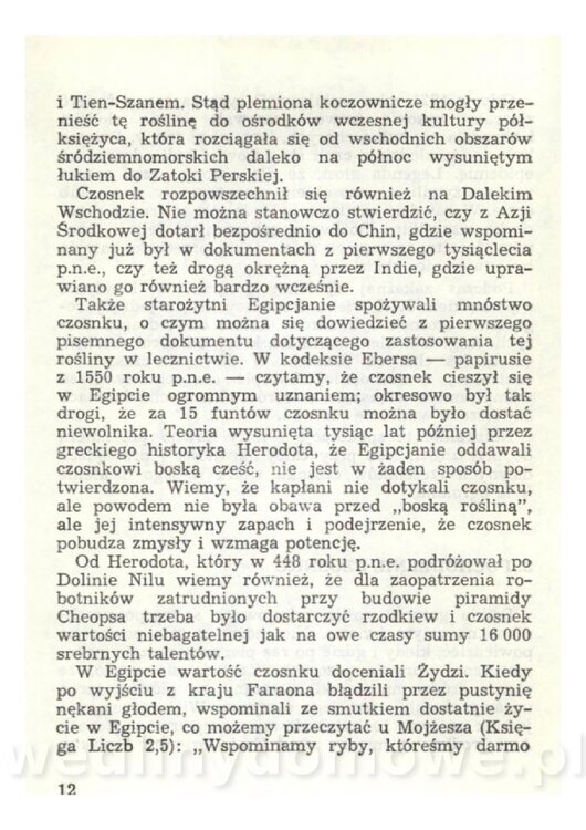 Czosnek Znany I Nieznany_14.jpg