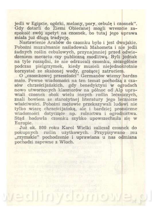 Czosnek Znany I Nieznany_15.jpg