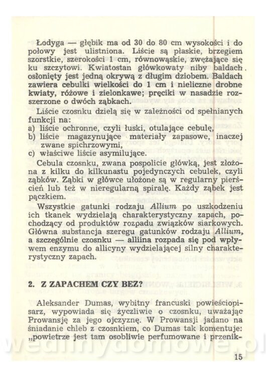 Czosnek Znany I Nieznany_17.jpg