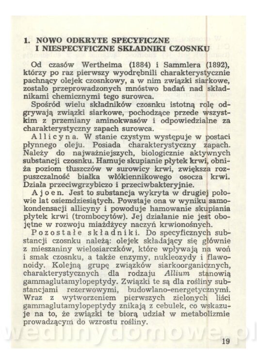 Czosnek Znany I Nieznany_19.jpg