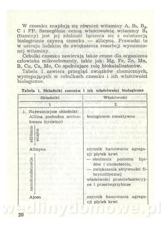 Czosnek Znany I Nieznany_20.jpg