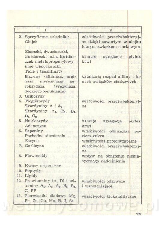 Czosnek Znany I Nieznany_21.jpg