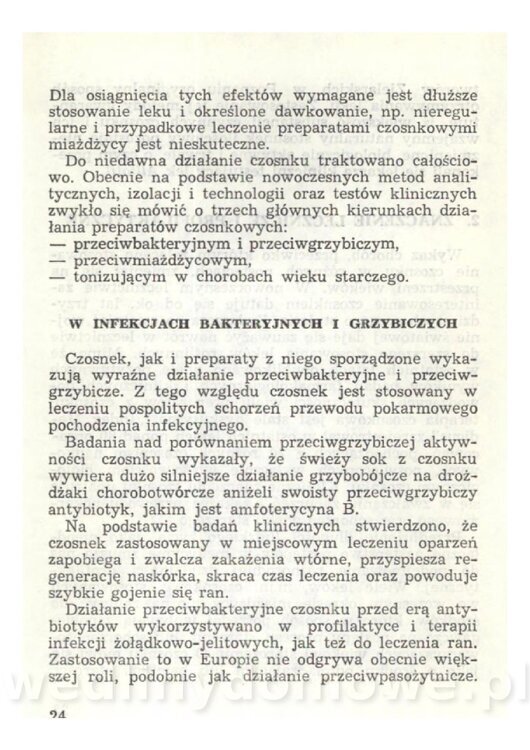 Czosnek Znany I Nieznany_24.jpg