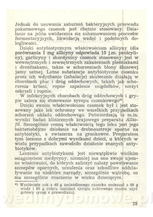 Czosnek Znany I Nieznany_25.jpg