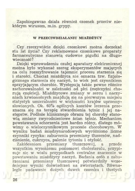 Czosnek Znany I Nieznany_26.jpg