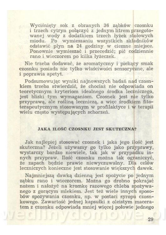 Czosnek Znany I Nieznany_29.jpg