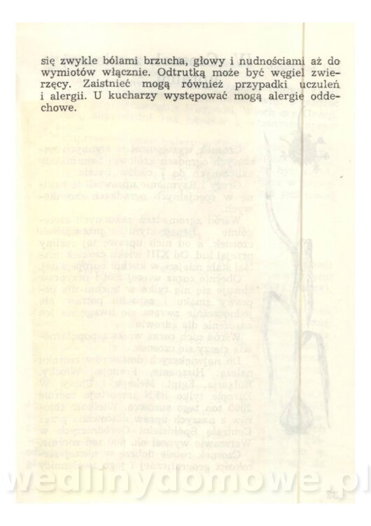 Czosnek Znany I Nieznany_31.jpg