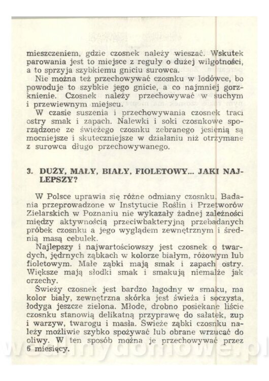 Czosnek Znany I Nieznany_35.jpg