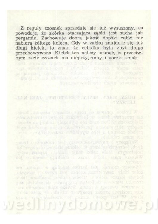 Czosnek Znany I Nieznany_36.jpg
